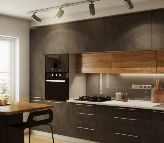 New modern kitchen interior