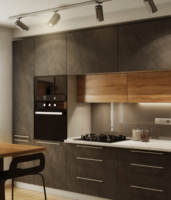 New modern kitchen interior